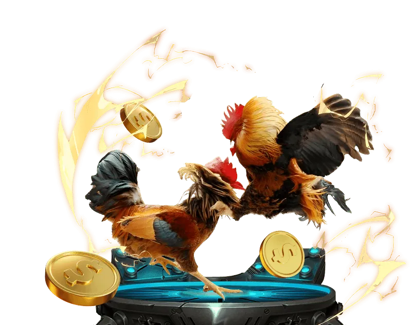 Hoàn trả cược đá gà không giới hạn uu888